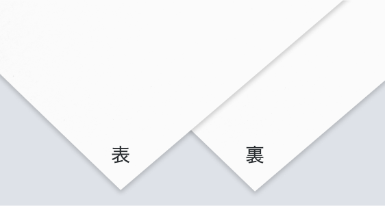 ハイブリットバガス.png