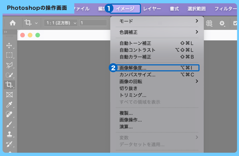 icon_ppi_01.png